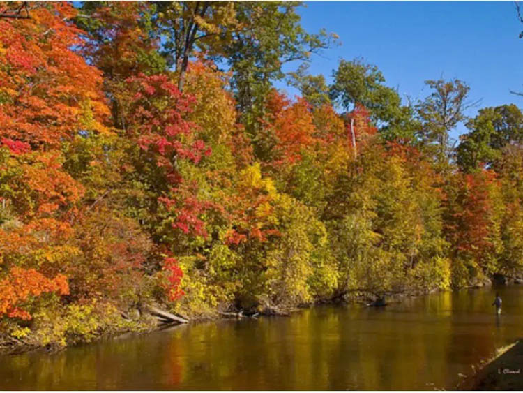 Michigan fall colors