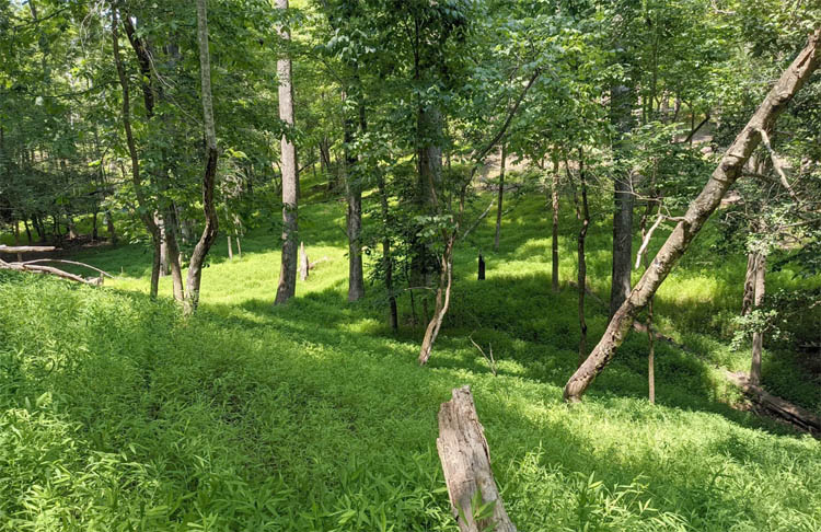 Morrow Mountain Park